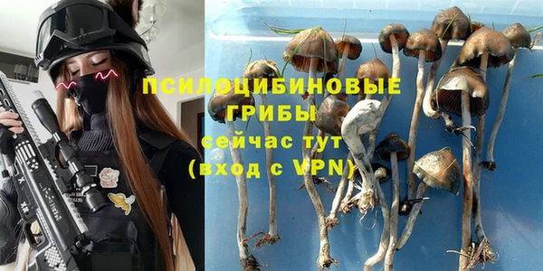 сатива Алзамай