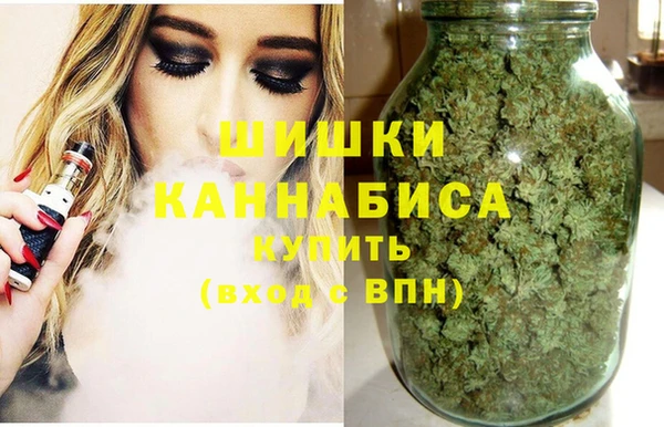 сатива Алзамай