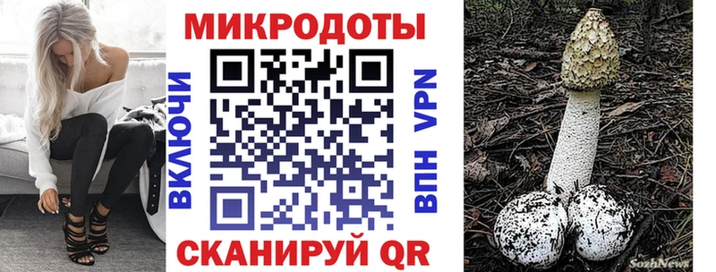 как найти закладки  Нововоронеж  MEGA tor  Псилоцибиновые грибы ЛСД 